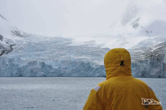 Observando o final do Drygalski Fjord, na Geórgia do Sul